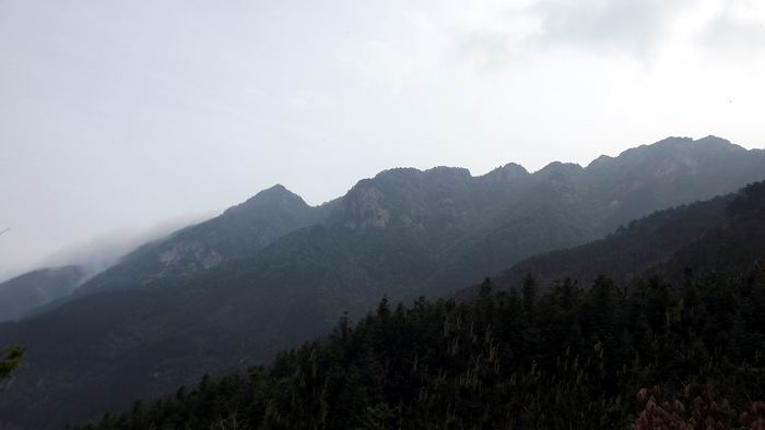 ŷ 064.jpg