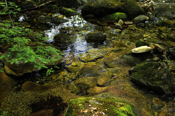 nEO_IMG__MG_0229.jpg