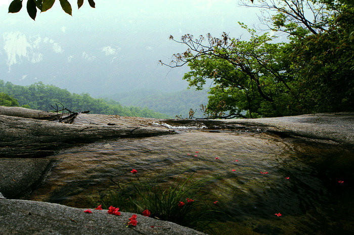 nEO_IMG__MG_0293.jpg