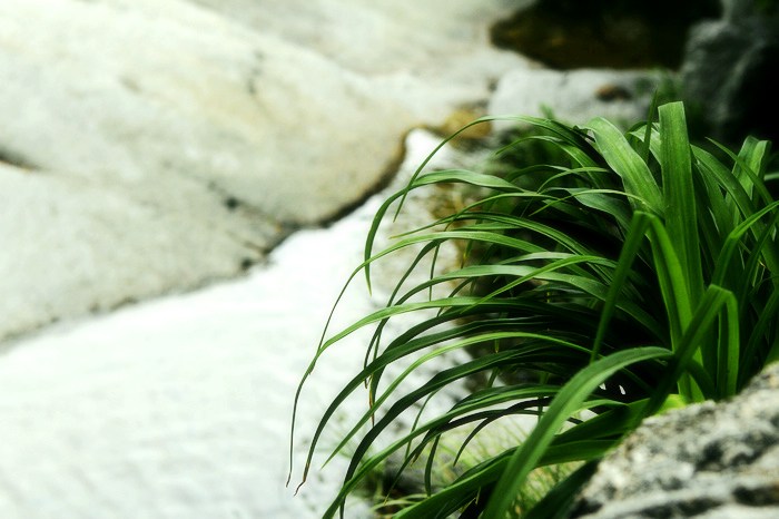 nEO_IMG__MG_0373.jpg