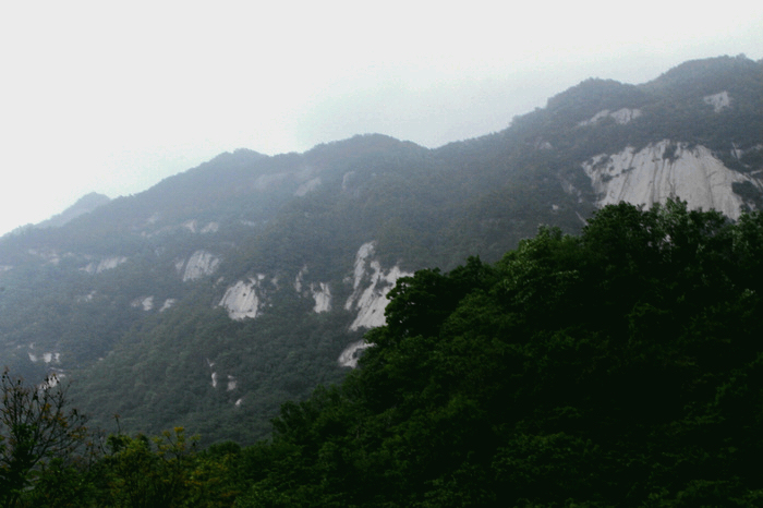 nEO_IMG__MG_0598.jpg