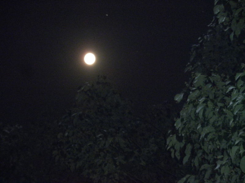 岛上夜黑无风