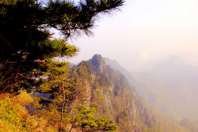 _MG_7064.JPG