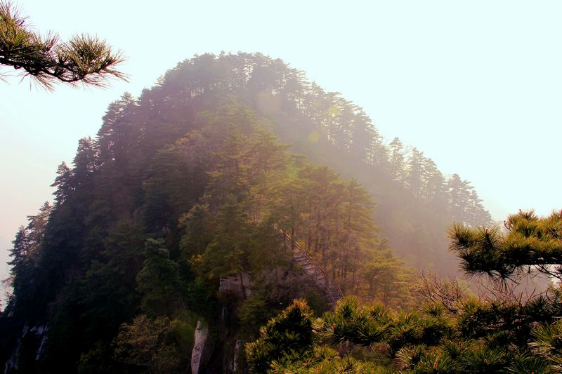 _MG_7067.JPG