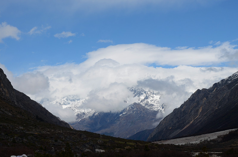 DSC_0311.JPG