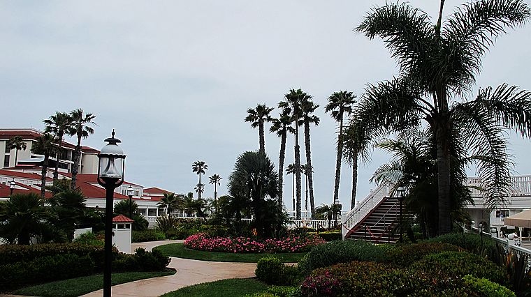 65.jpg