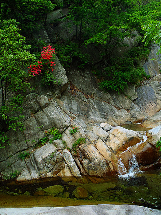 p4300107__.jpg