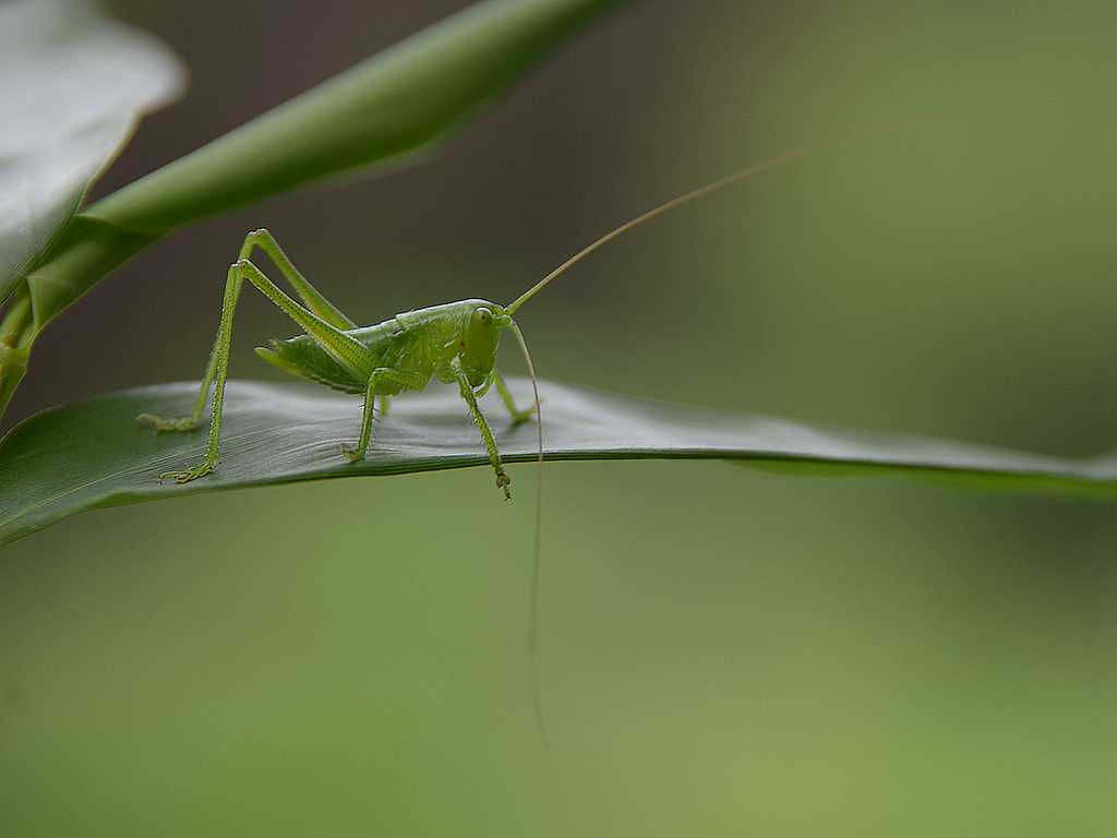 DSC_3597.jpg