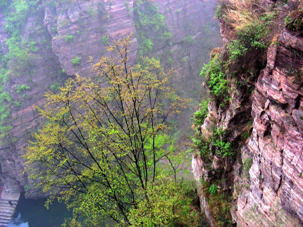 DSCN5751.JPG