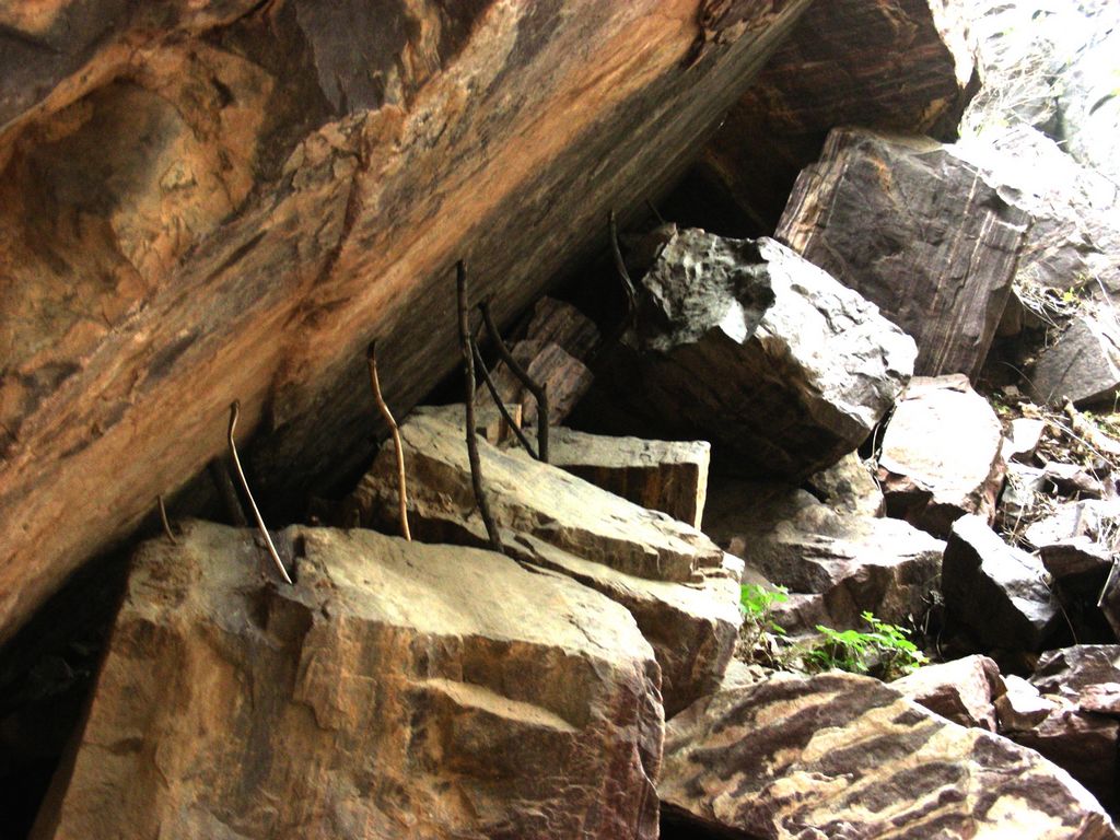 DSCN5767.JPG