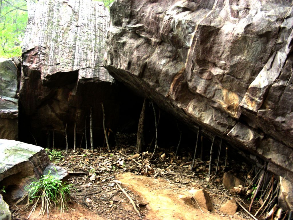 DSCN5768.JPG