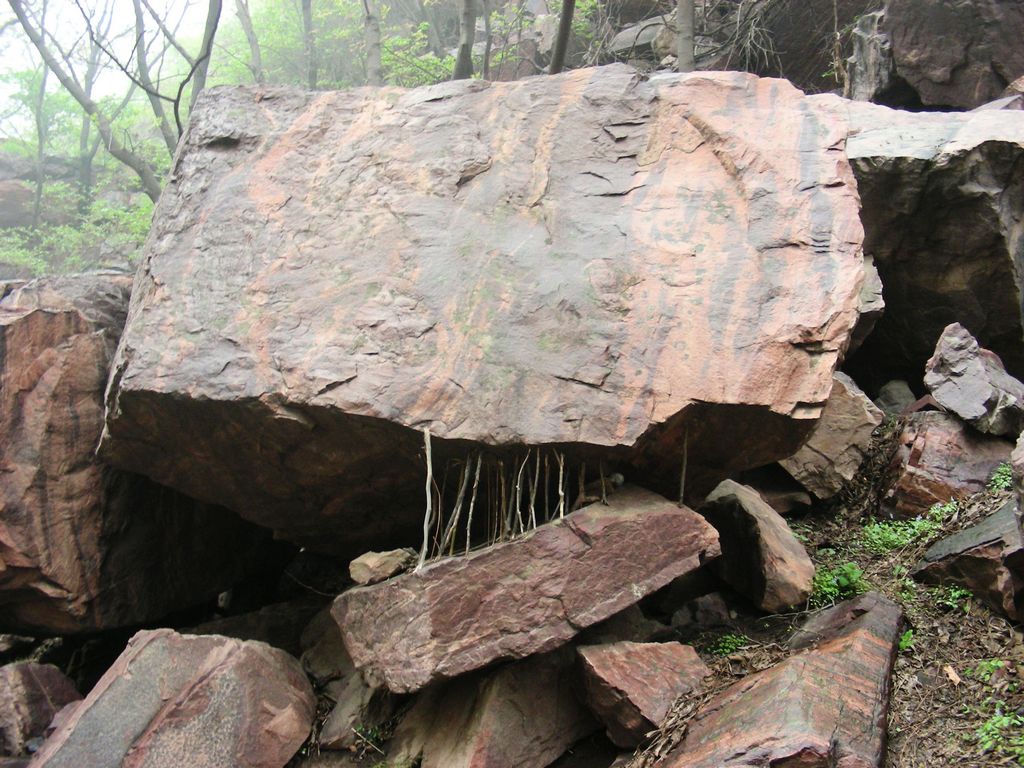 DSCN5769.JPG