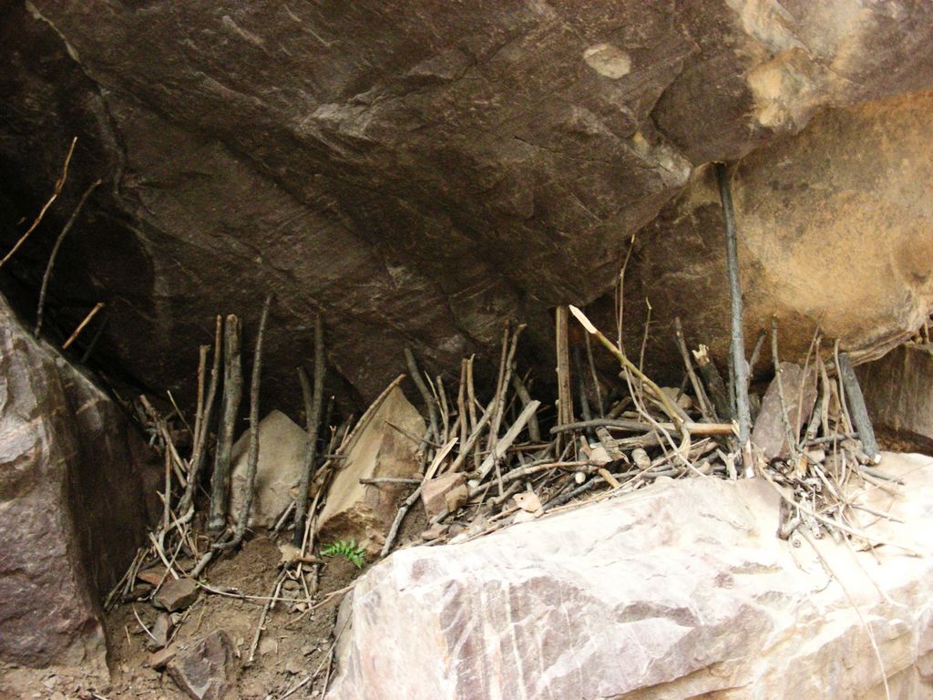 DSCN5766.JPG