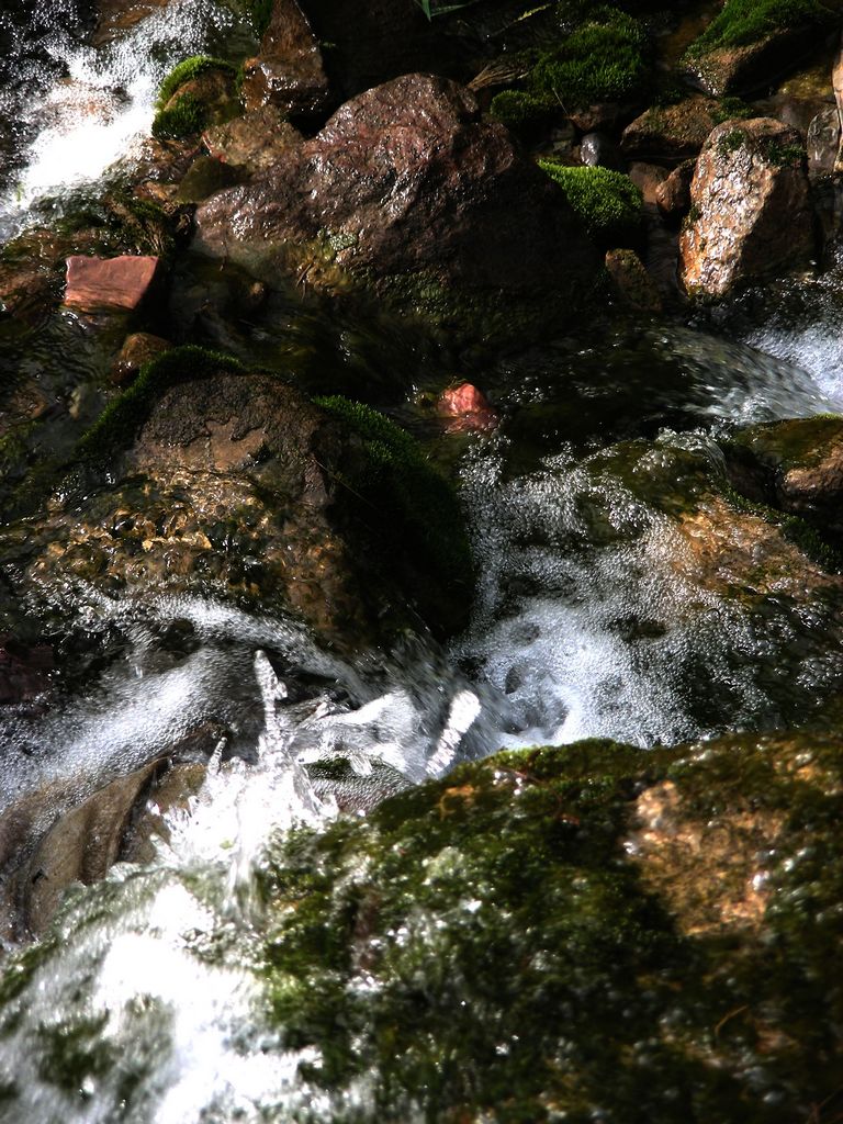 DSCN5777.JPG