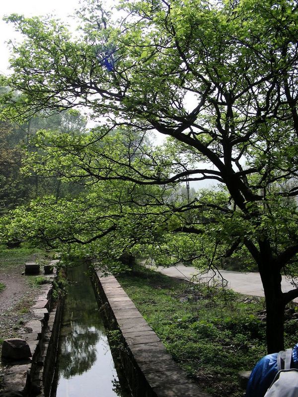 DSCN5791.JPG