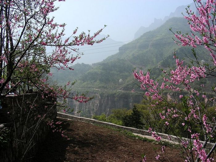 DSCN5815.JPG
