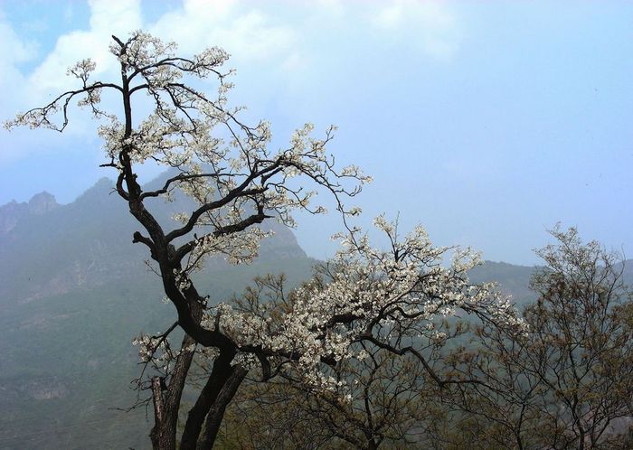 DSCN5846.JPG