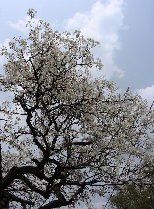 DSCN5862.JPG