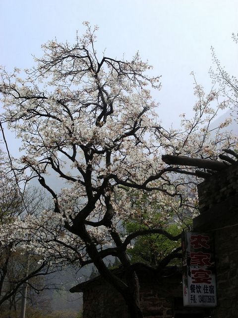 DSCN5864.JPG
