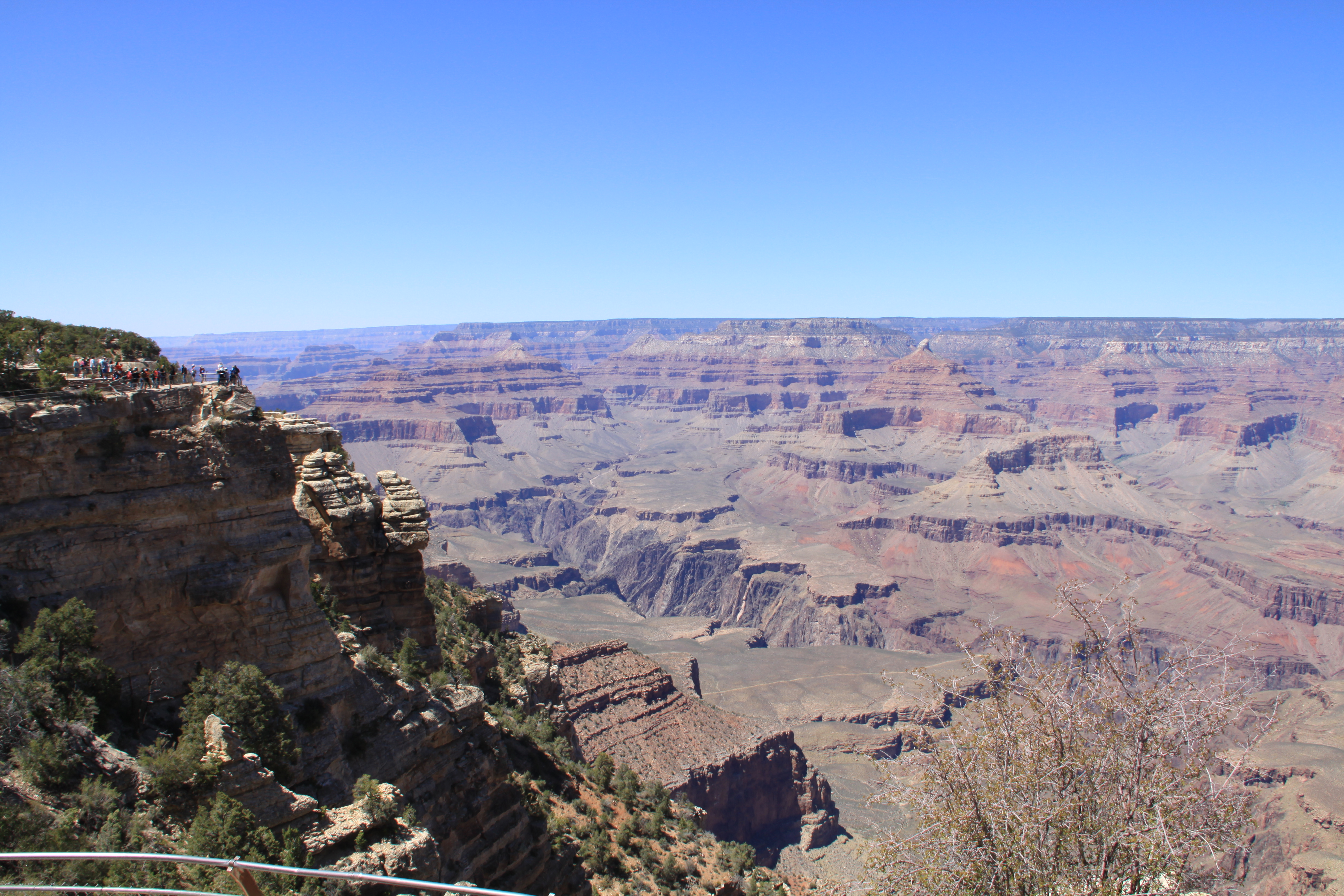 IMG_5014.JPG