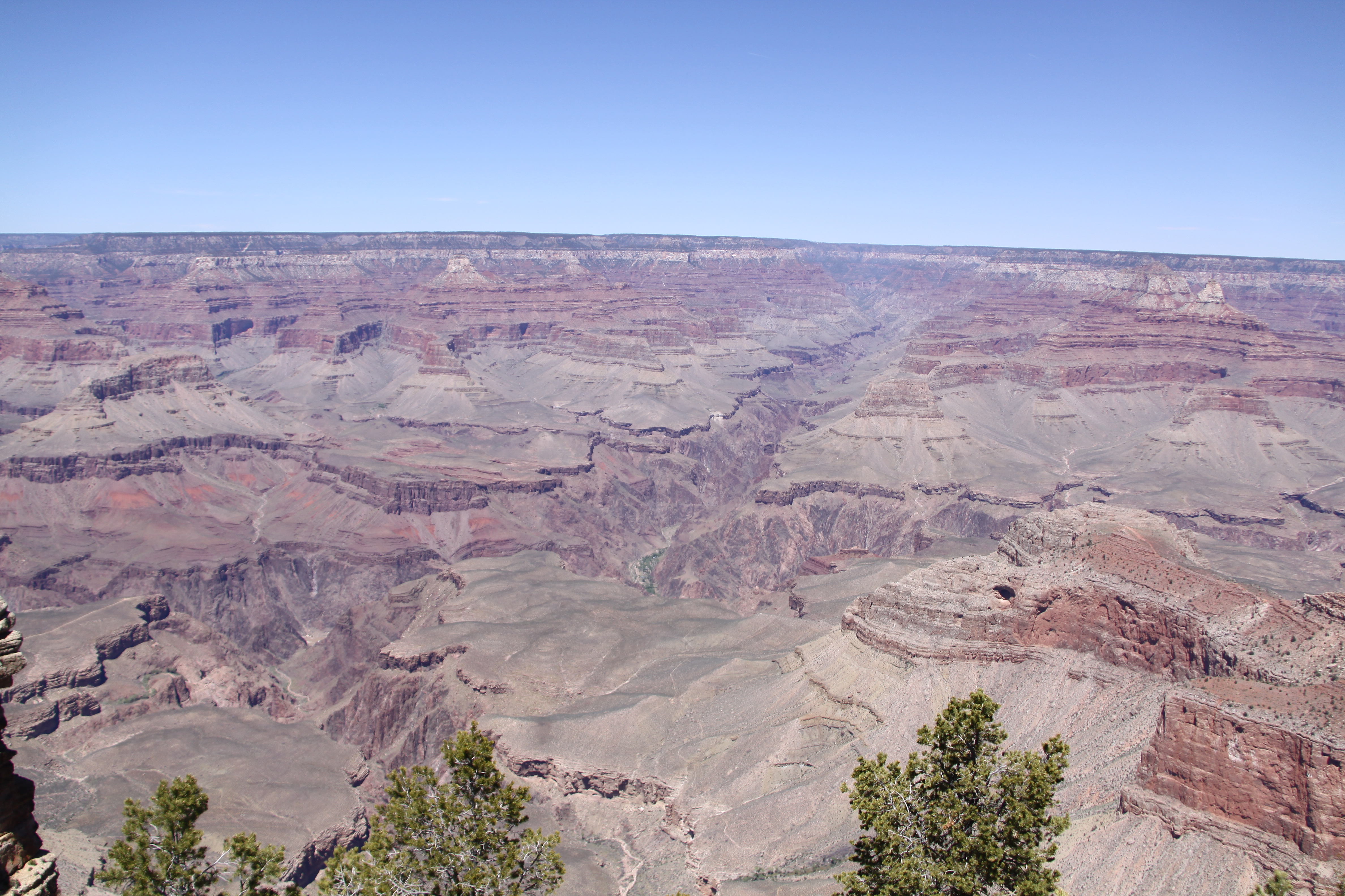 IMG_4898.JPG