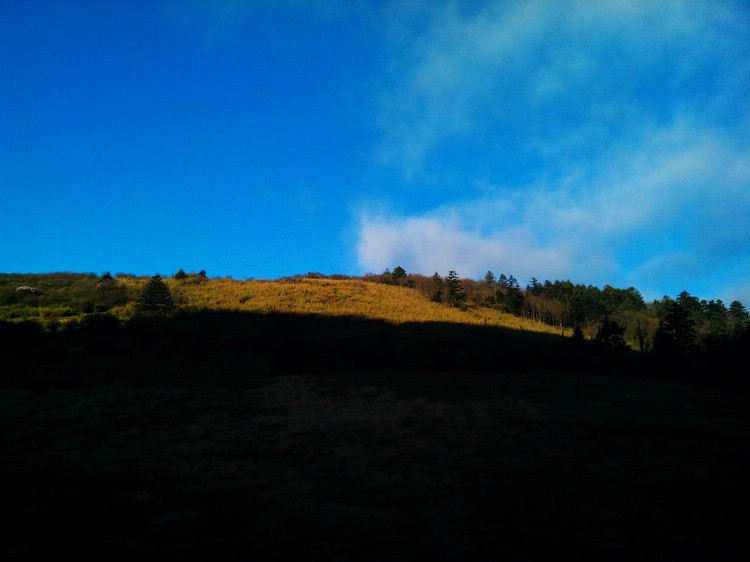 IMAG0246.jpg
