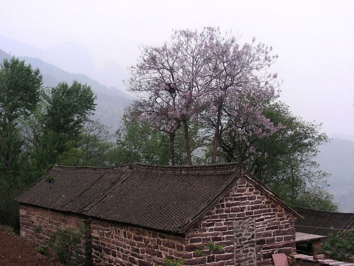 DSCN5905.JPG