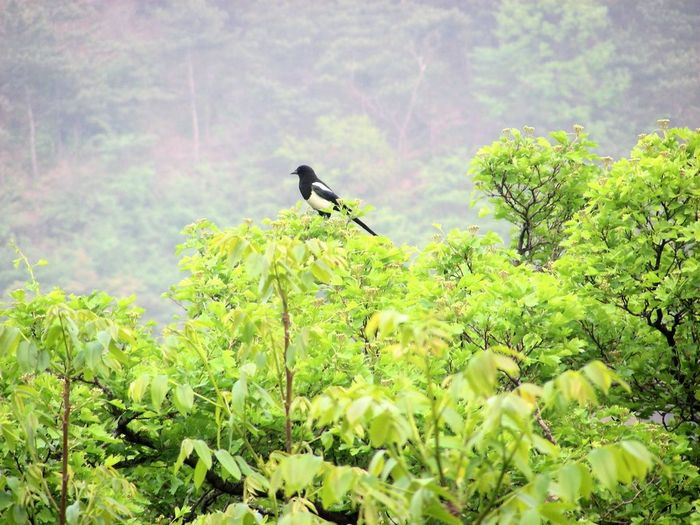 DSCN5910.JPG