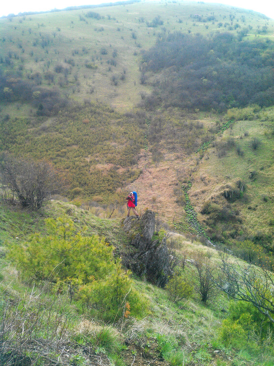 IMAG0315.jpg