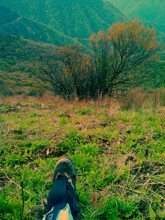 IMAG0341.jpg