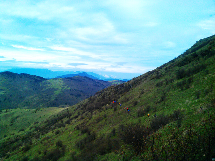 IMAG0337.jpg