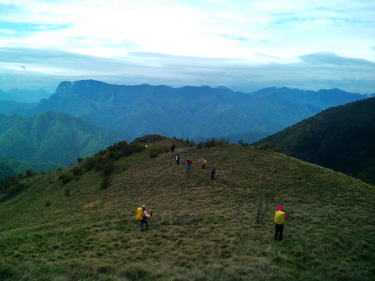 IMAG0352.jpg