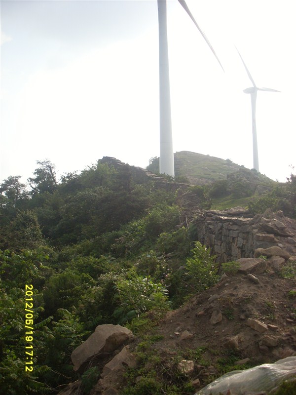 52_183033_7bd9165d04814de.jpg