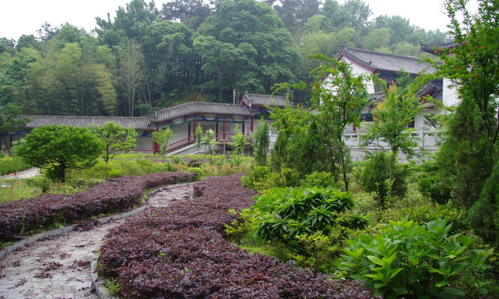 IMGP0719.JPG