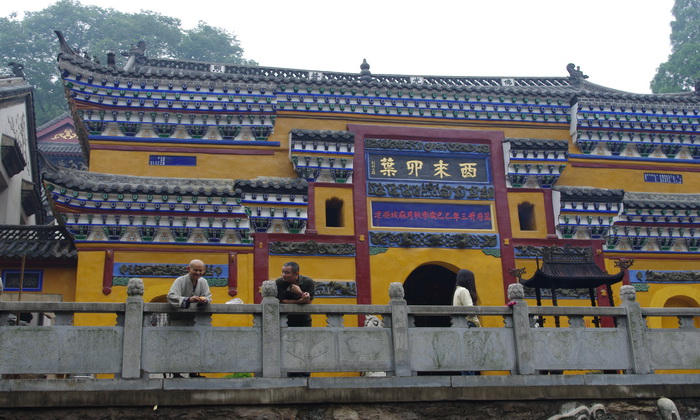 IMGP0729.JPG