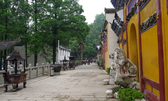 IMGP0750.JPG