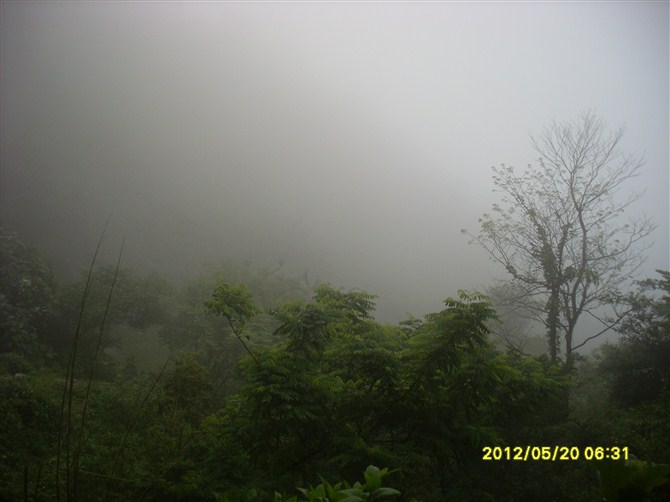 psb02.jpg