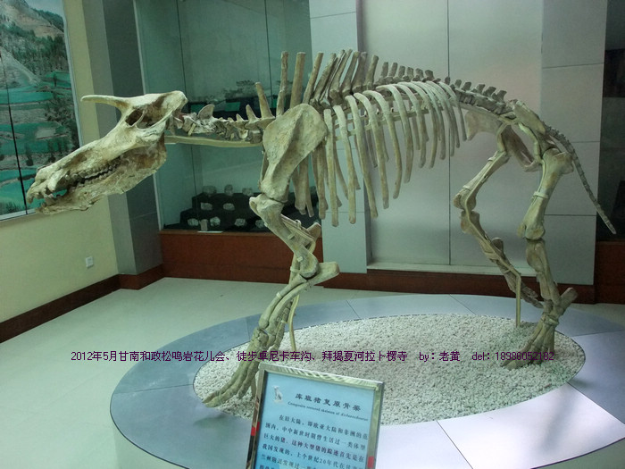 DSCF5960.JPG