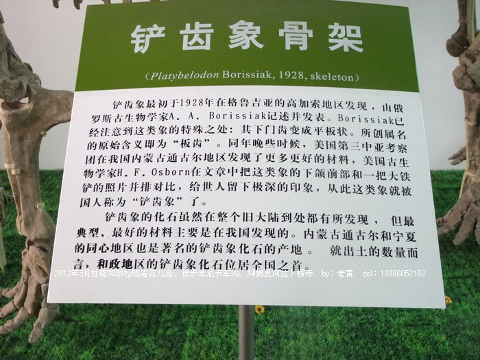 DSCF5969.JPG