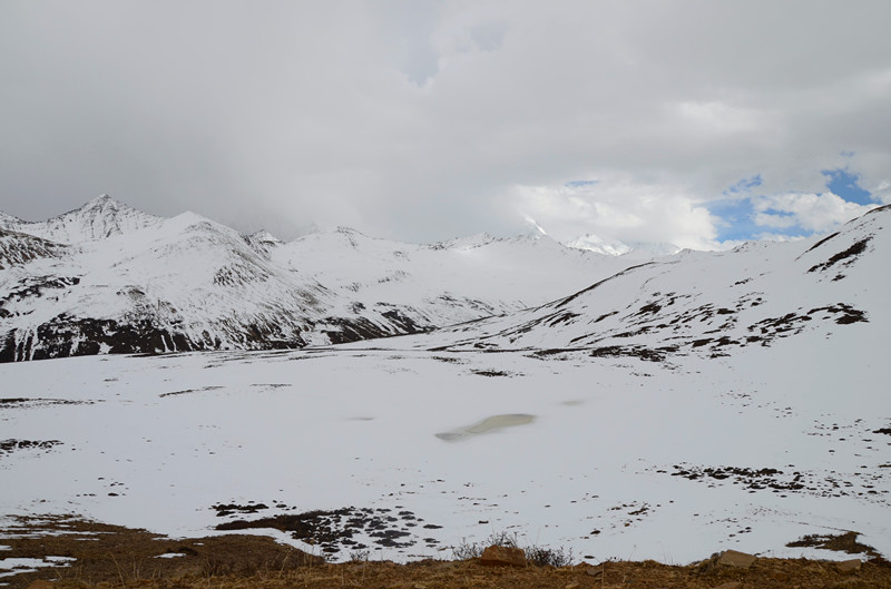 DSC_0520.JPG