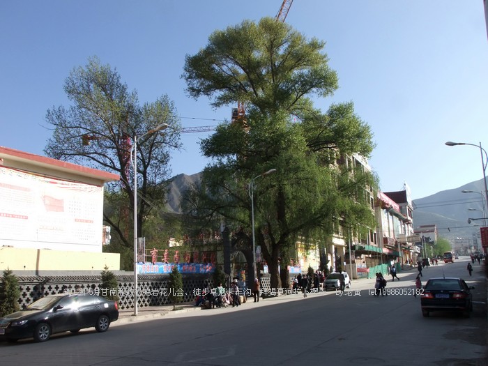 DSCF6296.JPG