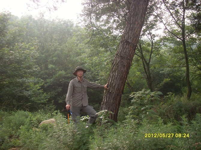 psbCAP7396L.jpg