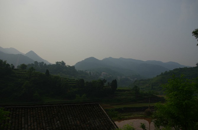 219.jpg