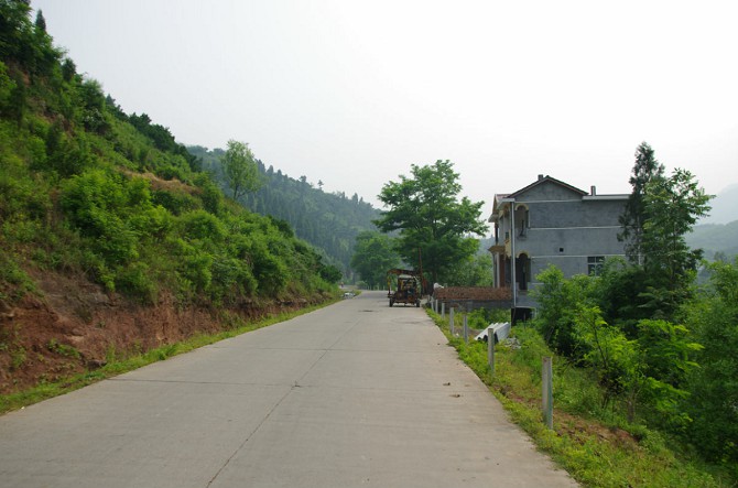 221.jpg
