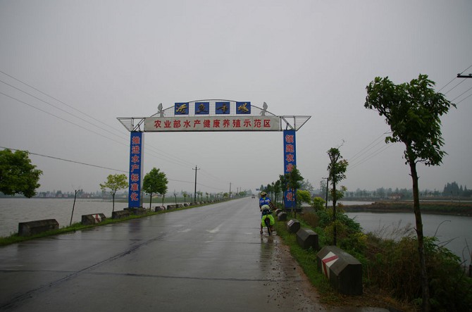 302.jpg