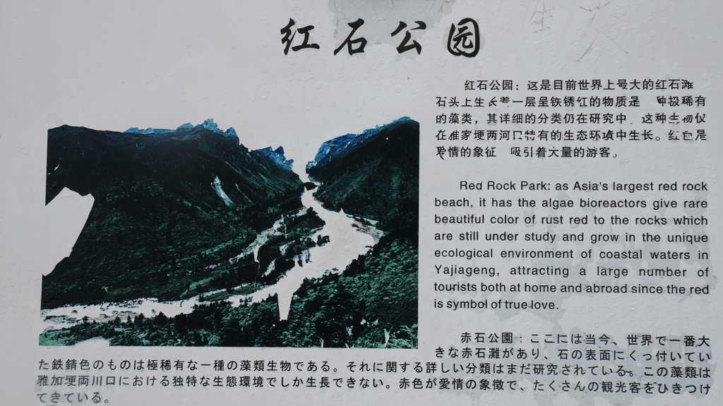 DSC09425.jpg