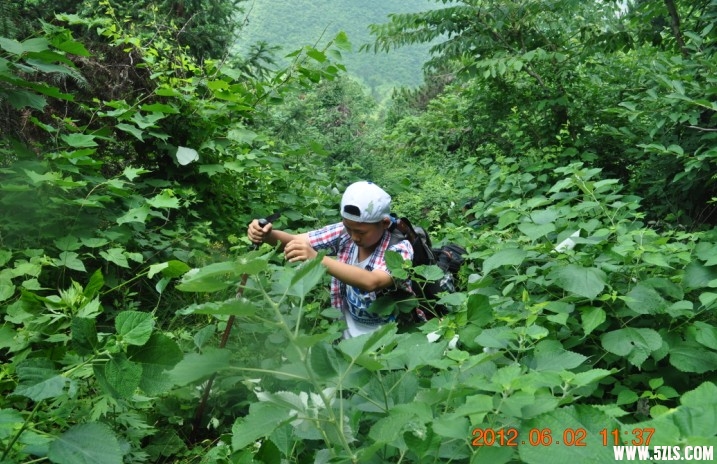 52_377369_4885627a413fcfa.jpg