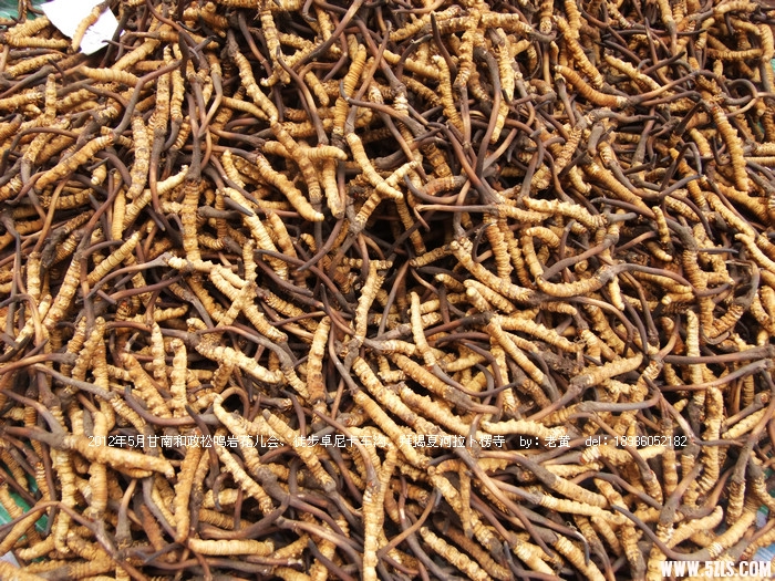 DSCF6673.JPG