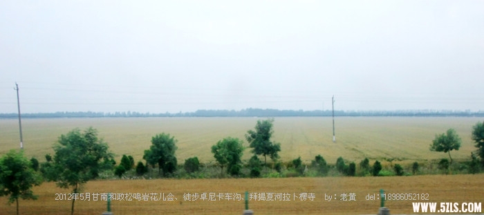 DSCF6839.JPG