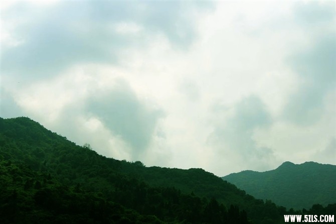 nEO-IMG-1141.jpg